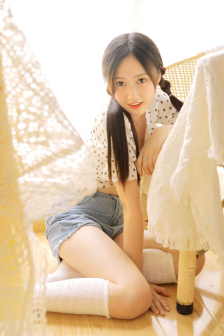 仙踪林电视剧在线观看完整